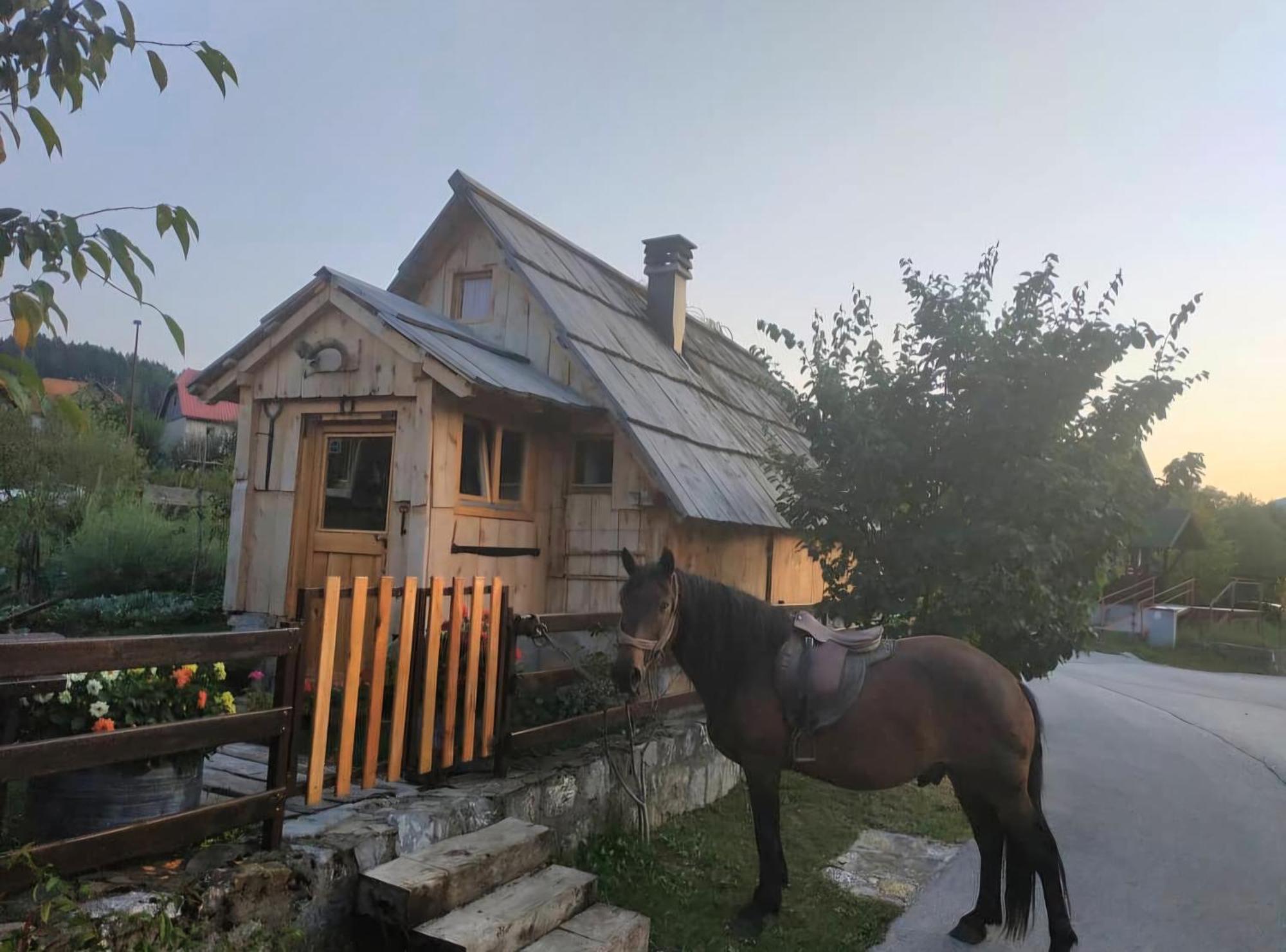 Etno Smjestaj Bjelasica Kolašin Εξωτερικό φωτογραφία